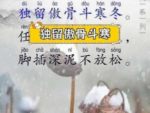 寒冬诗意挑战：以诗解千愁，探寻隆冬节对诗与头疼之谜的图解新境界