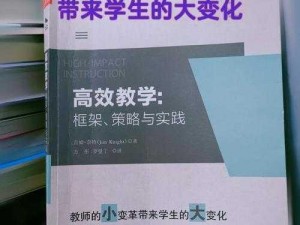 圣采儿迅速解决之道：探究高效解决方案与策略实践之路