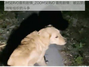 ZOOMSERVO兽狗剧情_ZOOMSERVO 兽狗剧情：被囚禁的女孩与神秘组织的斗争