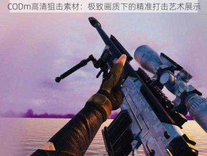 CODm高清狙击素材：极致画质下的精准打击艺术展示