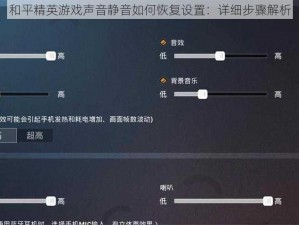 和平精英游戏声音静音如何恢复设置：详细步骤解析