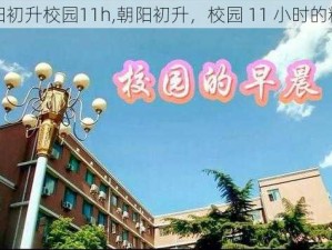 朝阳初升校园11h,朝阳初升，校园 11 小时的精彩