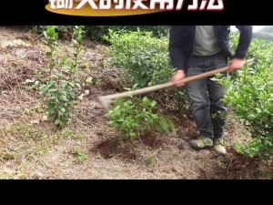 农耕之道：锄地细节解析与操作指南