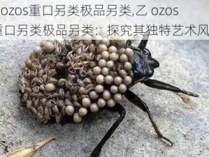 乙ozos重口另类极品另类,乙 ozos 重口另类极品另类：探究其独特艺术风格