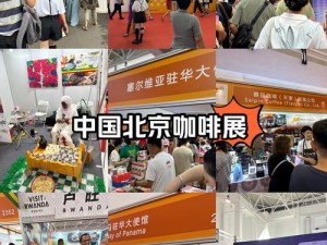 关于2024中国国际咖啡展览会盛况的深度报道与探讨