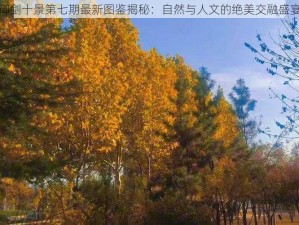 御剑十景第七期最新图鉴揭秘：自然与人文的绝美交融盛宴