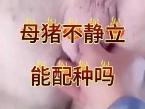 人与猪交配;人与猪交配是否违背伦理？