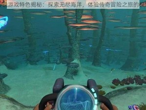 海域传说游戏特色揭秘：探索无尽海洋，体验传奇冒险之旅的极致快感