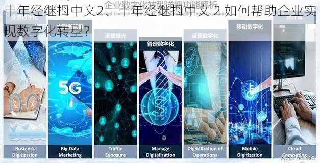 丰年经继拇中文2、丰年经继拇中文 2 如何帮助企业实现数字化转型？