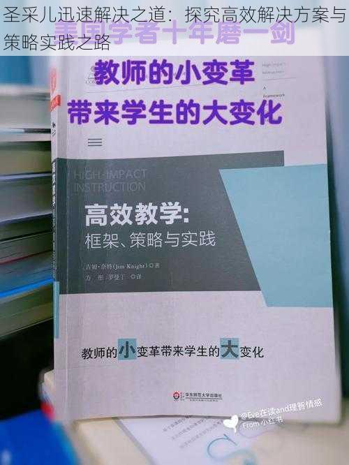 圣采儿迅速解决之道：探究高效解决方案与策略实践之路