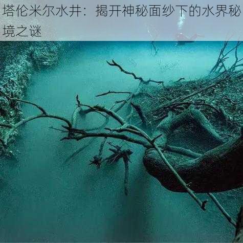 塔伦米尔水井：揭开神秘面纱下的水界秘境之谜