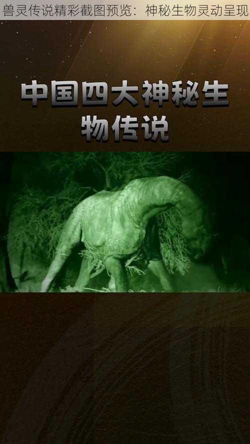 兽灵传说精彩截图预览：神秘生物灵动呈现