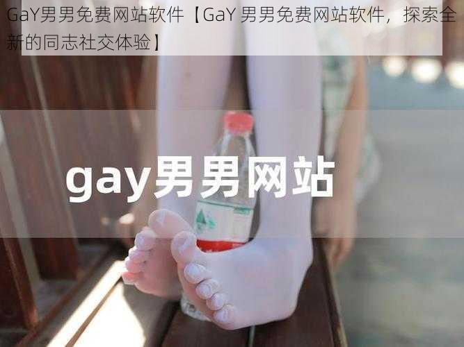 GaY男男免费网站软件【GaY 男男免费网站软件，探索全新的同志社交体验】