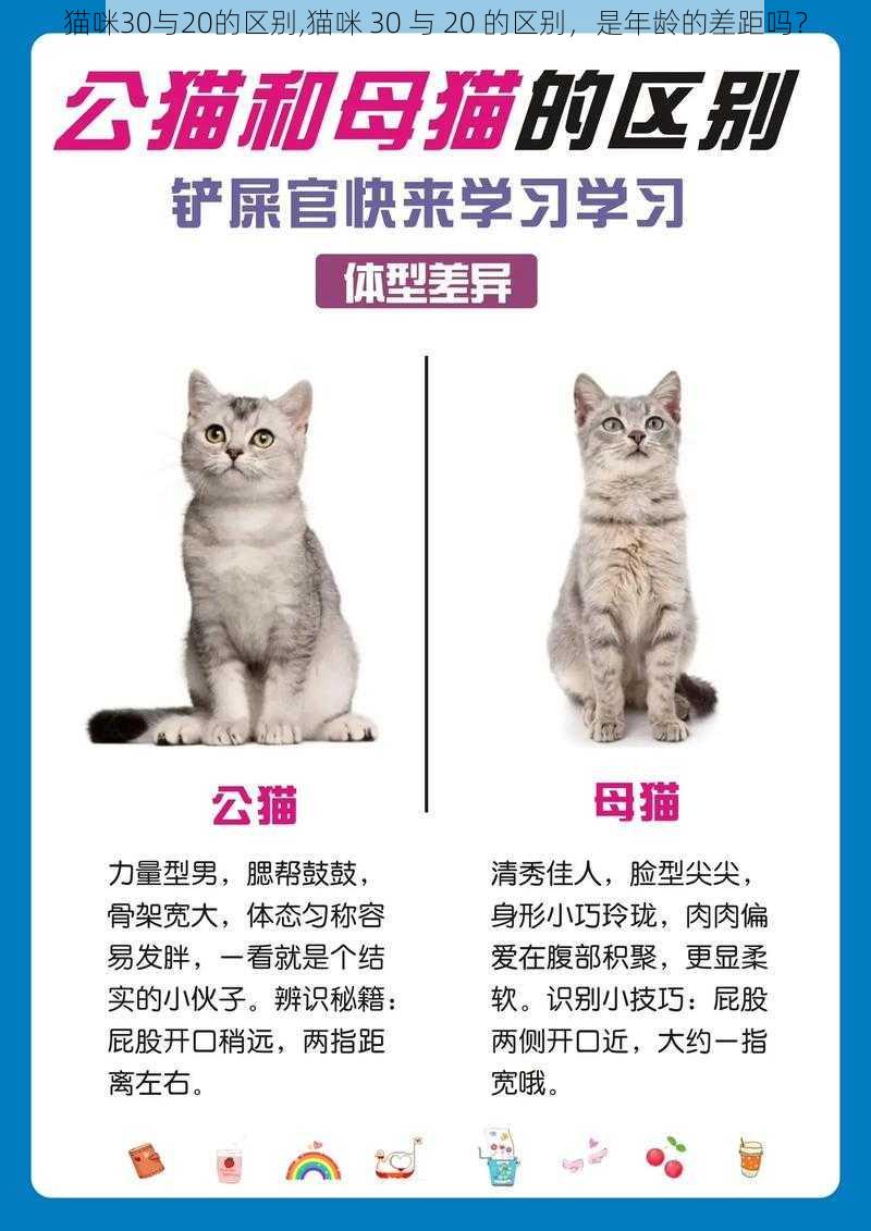 猫咪30与20的区别,猫咪 30 与 20 的区别，是年龄的差距吗？