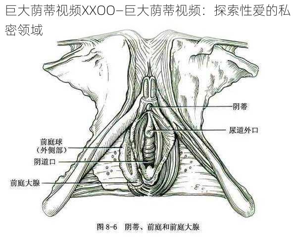 巨大荫蒂视频XXOO—巨大荫蒂视频：探索性爱的私密领域