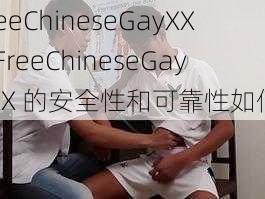 FreeChineseGayXXX,FreeChineseGayXXX 的安全性和可靠性如何？