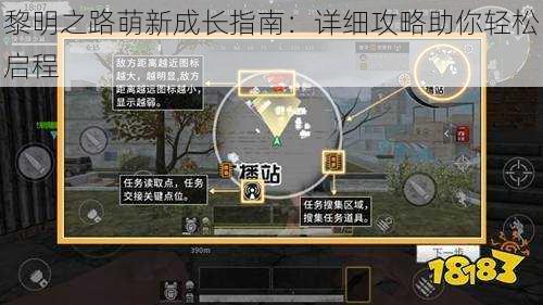 黎明之路萌新成长指南：详细攻略助你轻松启程