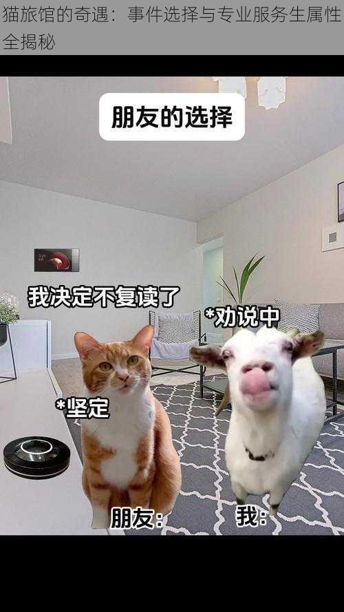 猫旅馆的奇遇：事件选择与专业服务生属性全揭秘