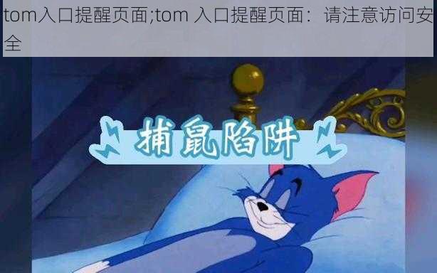 tom入口提醒页面;tom 入口提醒页面：请注意访问安全