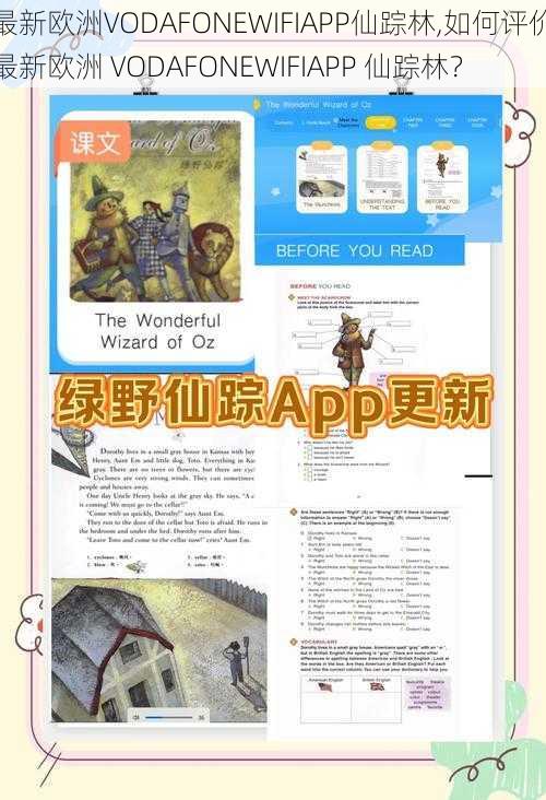 最新欧洲VODAFONEWIFIAPP仙踪林,如何评价最新欧洲 VODAFONEWIFIAPP 仙踪林？