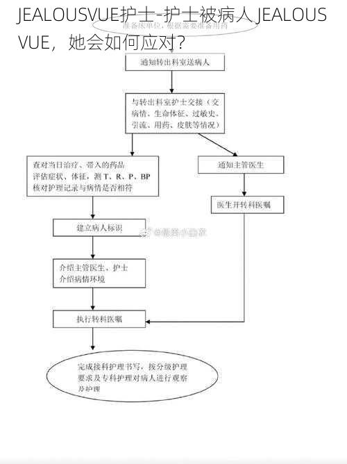 JEALOUSVUE护士-护士被病人 JEALOUSVUE，她会如何应对？