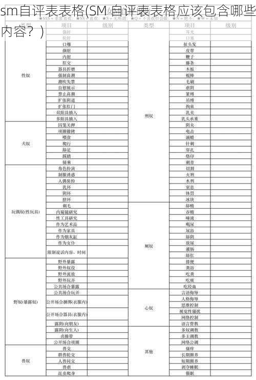 sm自评表表格(SM 自评表表格应该包含哪些内容？)