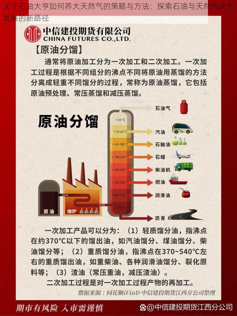 关于石油大亨如何养大天然气的策略与方法：探索石油与天然气共生发展的新路径