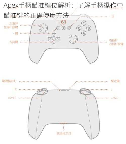 Apex手柄瞄准键位解析：了解手柄操作中瞄准键的正确使用方法