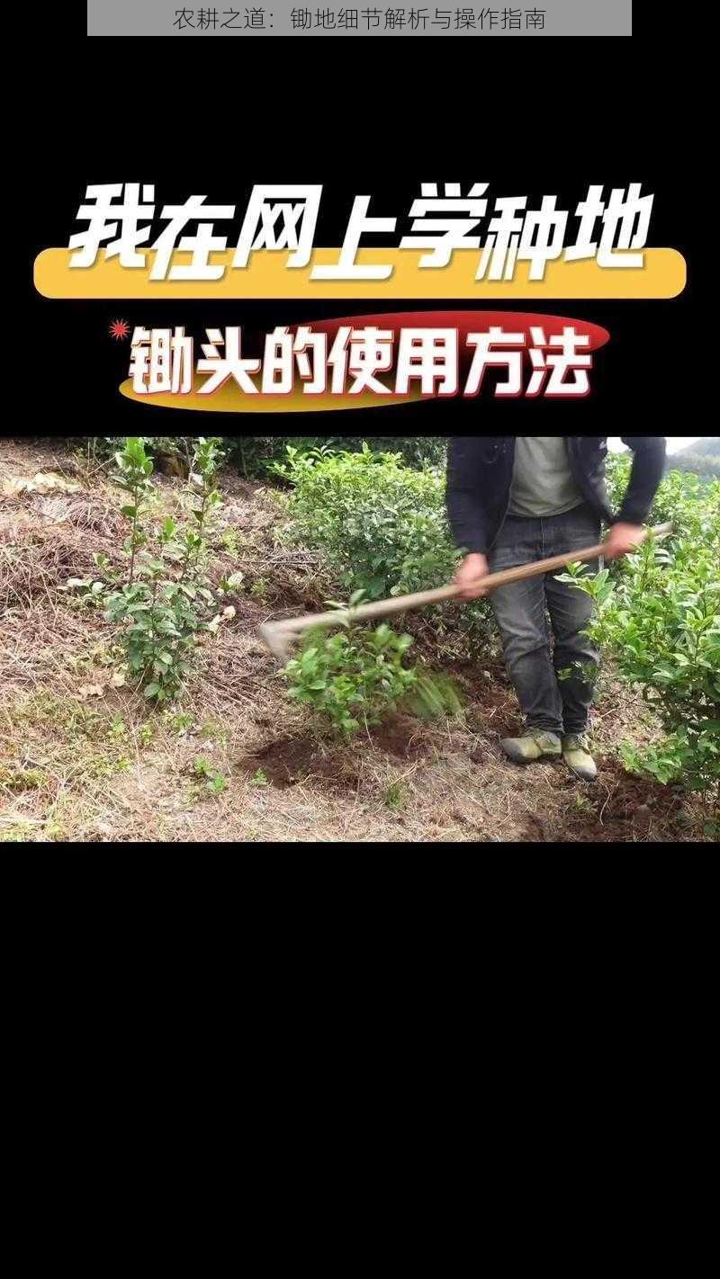 农耕之道：锄地细节解析与操作指南