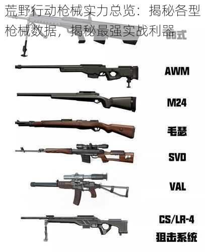 荒野行动枪械实力总览：揭秘各型枪械数据，揭秘最强实战利器