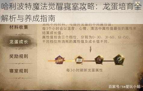 哈利波特魔法觉醒寝室攻略：龙蛋培育全解析与养成指南