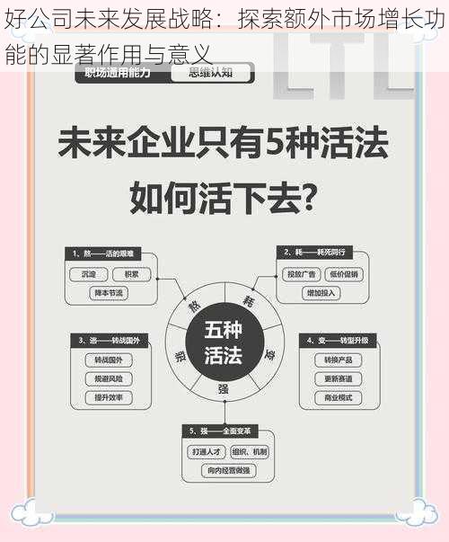 好公司未来发展战略：探索额外市场增长功能的显著作用与意义