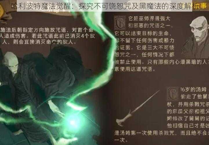 哈利波特魔法觉醒：探究不可饶恕咒及黑魔法的深度解析